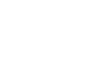 Hyundai Holding Hungary Kft.